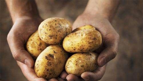 珍珠瓜带皮吃有营养吗  第2张