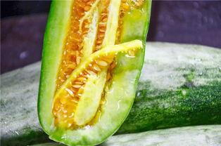 吃瓜里,揭秘吃瓜背后的趣味与真相  第2张