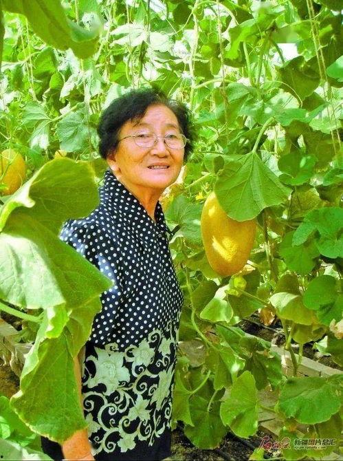 吃瓜蒙生,揭秘娱乐圈背后的故事与真相  第3张