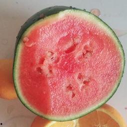 吃瓜氧气小花  第2张