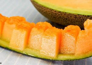 玉米瓜甜吃的雪糕,夏日清凉新宠，甜蜜滋味尽享