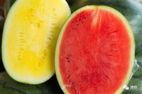 吃瓜网cn,揭秘娱乐圈幕后故事，带你领略明星真实生活  第3张