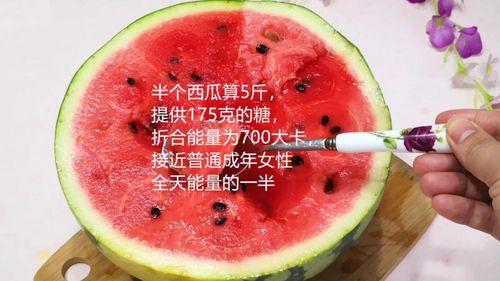 掌握吃瓜资料小说